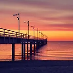 Blue Anchoria