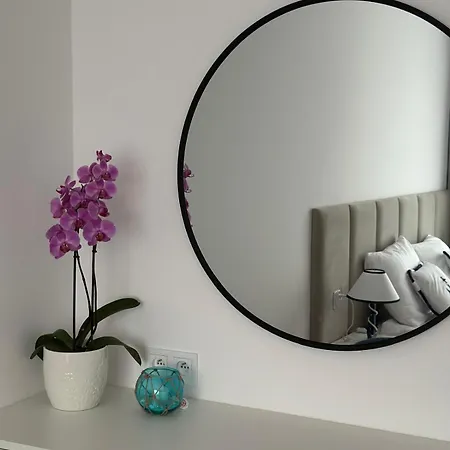 Blue Anchoria Mechelinki