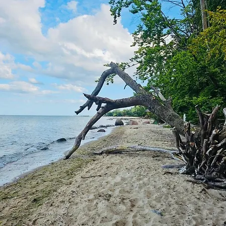 Blue Anchoria Apartment Mechelinki
