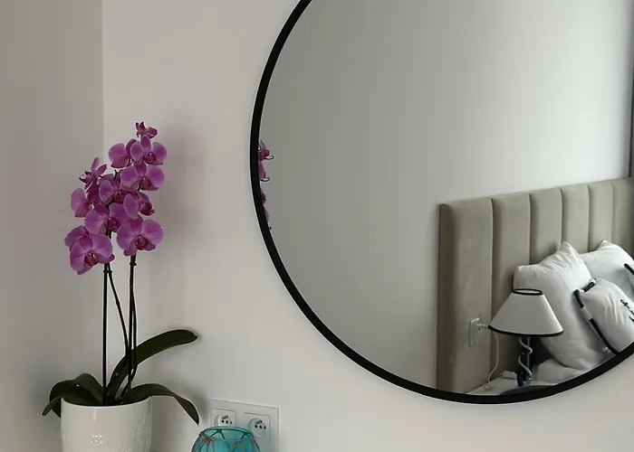 Blue Anchoria Mechelinki